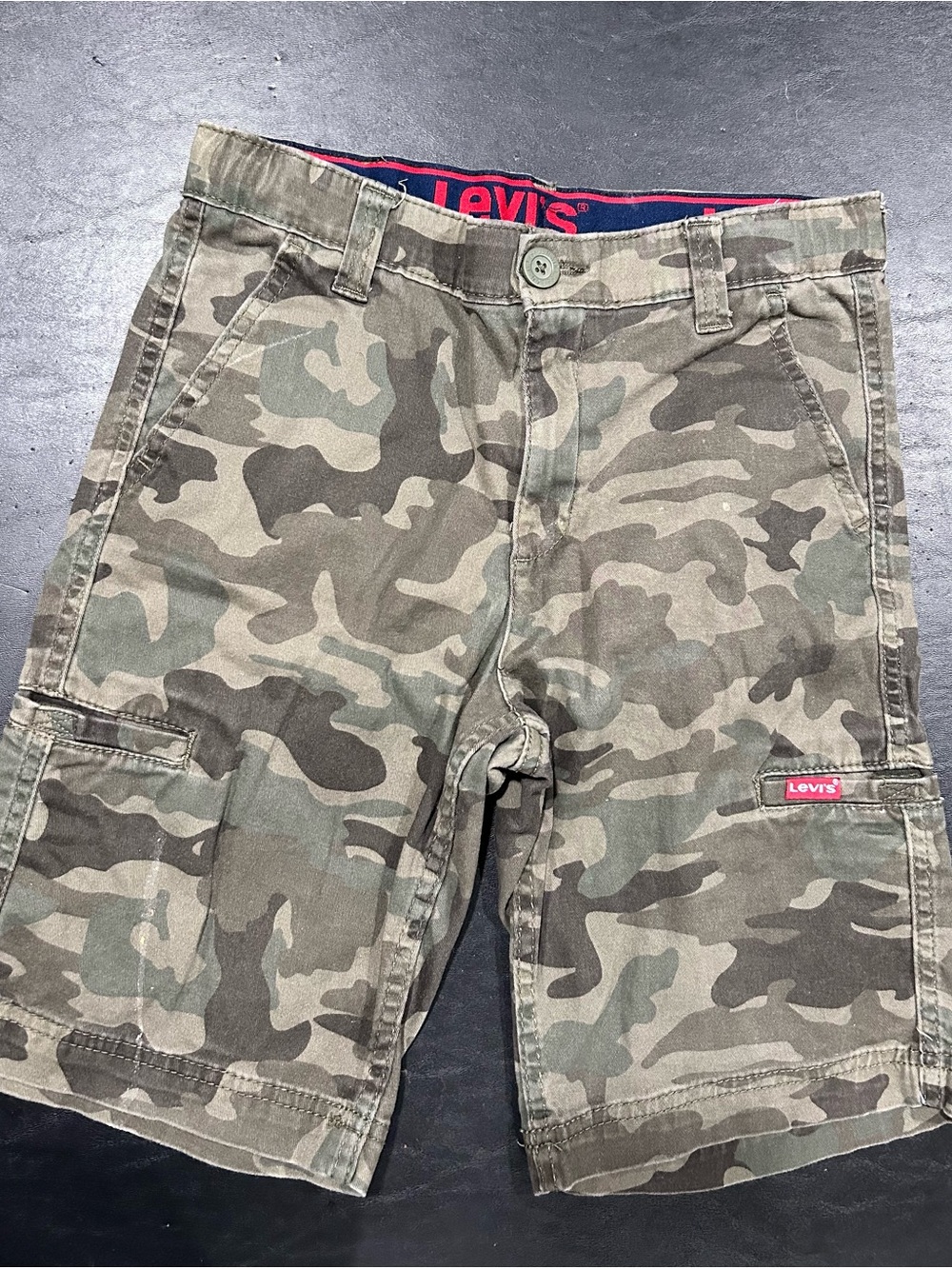 Levi's Olive & Khaki Camo Cargo Shorts